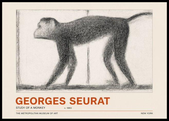 Seurat Study of a Monkey No4 - Poster