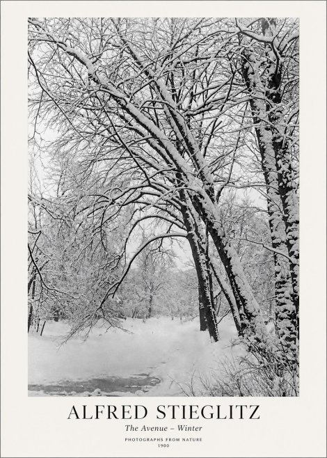 Alfred Stieglitz The Avenue – Winter No1 - Poster