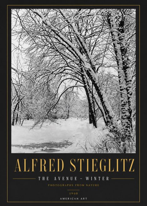 Alfred Stieglitz The Avenue – Winter No6 - Poster