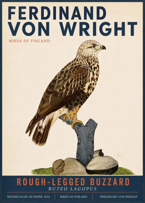 Ferdinand von Wright Rough-legged Buzzard No3 - Poster