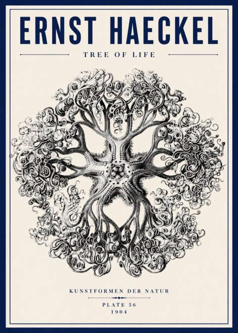 Ernst Haeckel Tree-like Organism No6 - Poster