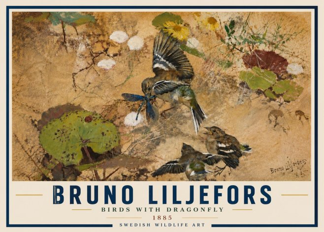 Bruno Liljefors Birds with Dragonfly No6 - Poster