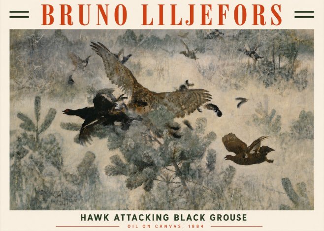 Bruno Liljefors Hawk Attacking Black Grouse No6 - Poster