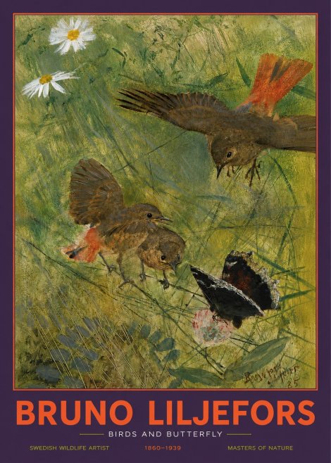 Bruno Liljefors Birds and Butterfly No2 - Poster