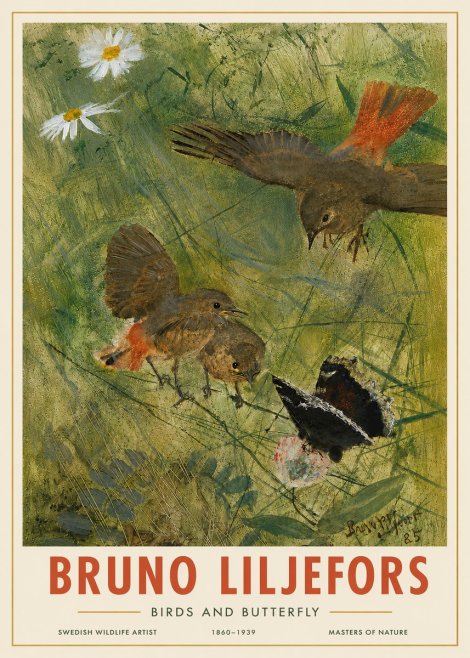 Bruno Liljefors Birds and Butterfly No4 - Poster
