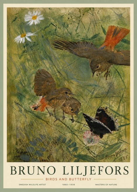 Bruno Liljefors Birds and Butterfly No5 - Poster