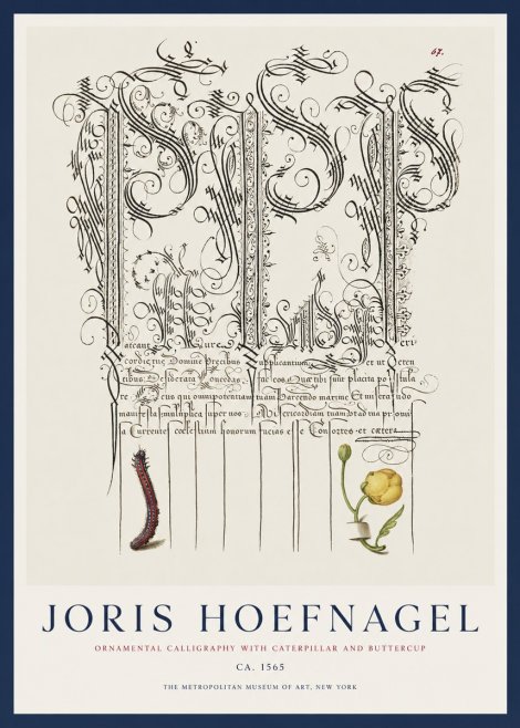 Joris Hoefnagel Ornamental Calligraphy with Caterpillar and Buttercup No1 - Poster