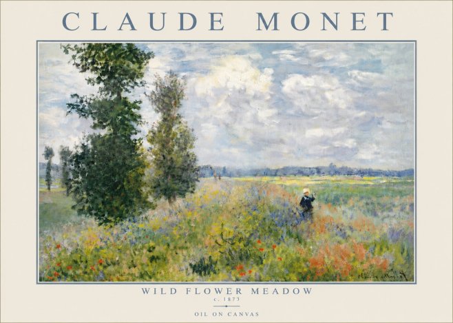 Monet Wild Flower Meadow No5 - Poster