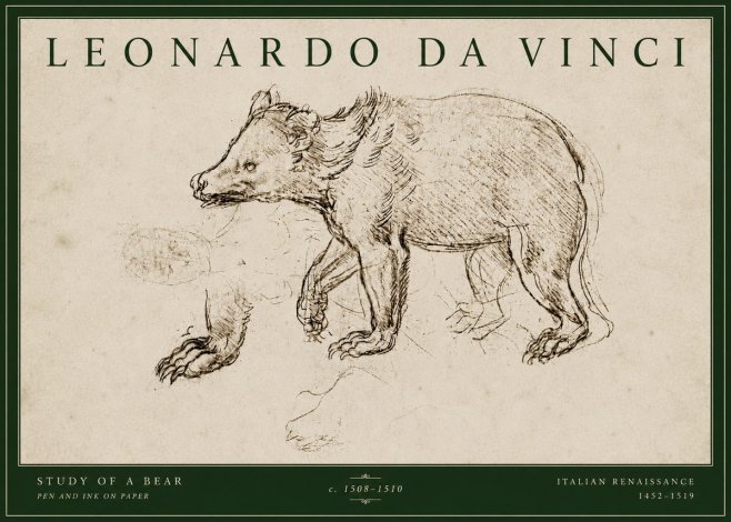 Leonardo da Vinci Study of a Bear No4 - Poster
