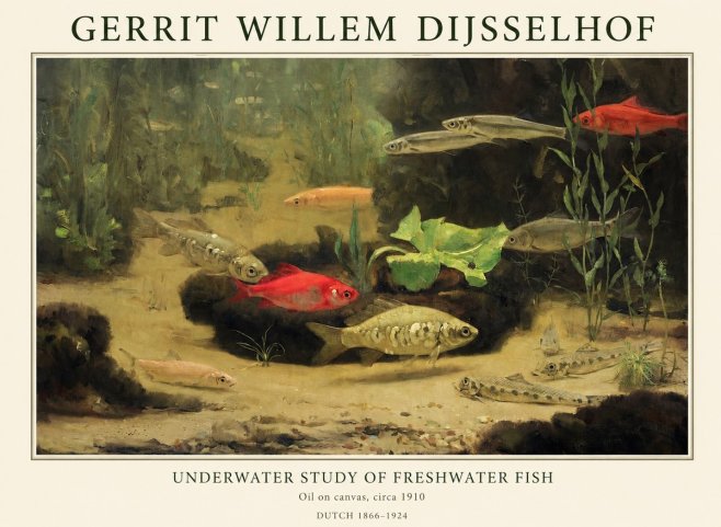 Gerrit Willem Dijsselhof Underwater Study of Freshwater Fish No1 - Poster