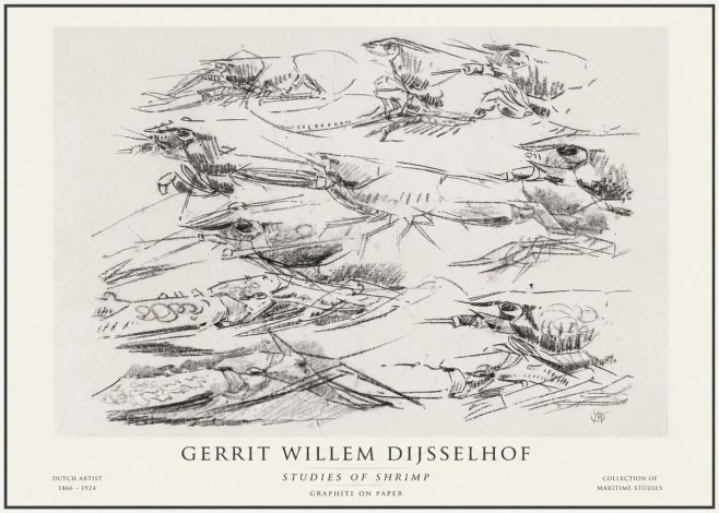 Gerrit Willem Dijsselhof Studies of Birds in Motion No6 - Poster