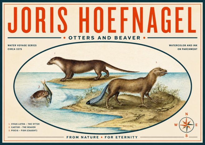 Joris Hoefnagel The Four-footed Creatures No6 - Poster