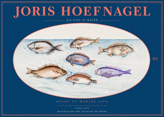 Joris Hoefnagel Six Fish in Water No2 - Poster