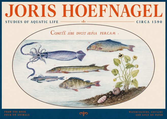 Joris Hoefnagel Comitẽ Sibi Ducit Sepia Percam. No2 - Poster