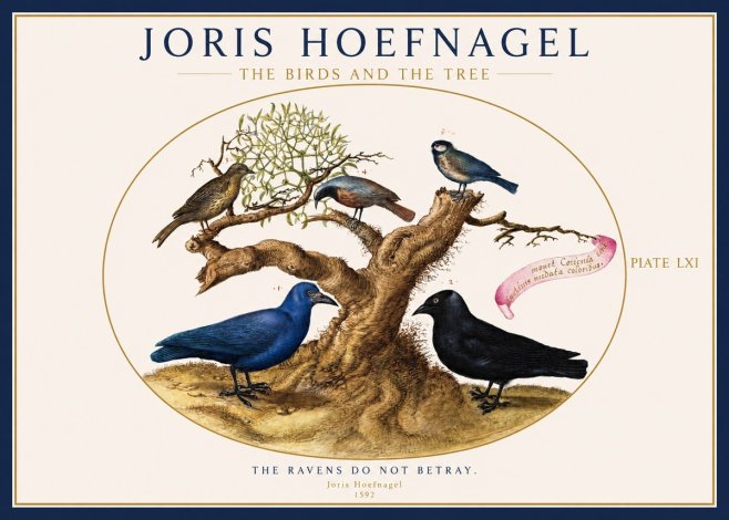 Joris Hoefnagel The Birds and the Tree No1 - Poster