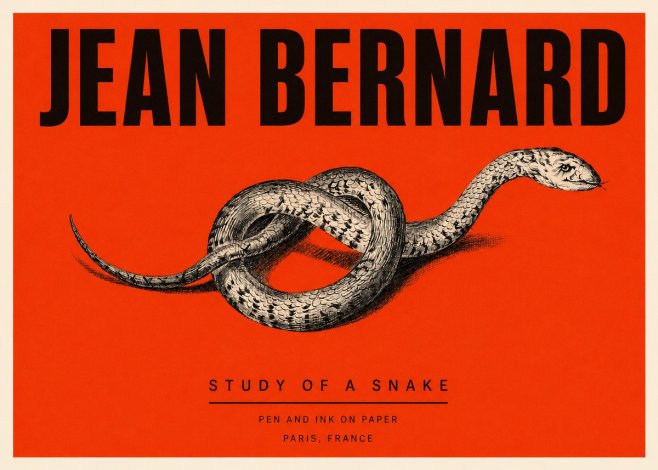Jean Bernard Study of a Snake No3 - Poster