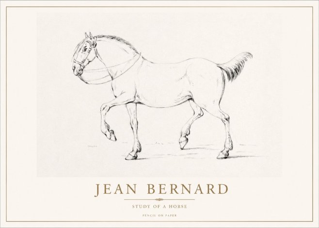 Jean Bernard Study of a Horse XVI No1 - Poster