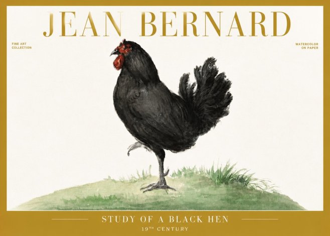Jean Bernard Study of a Black Hen No6 - Poster