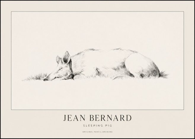 Jean Bernard Sleeping Pig II No1 - Poster