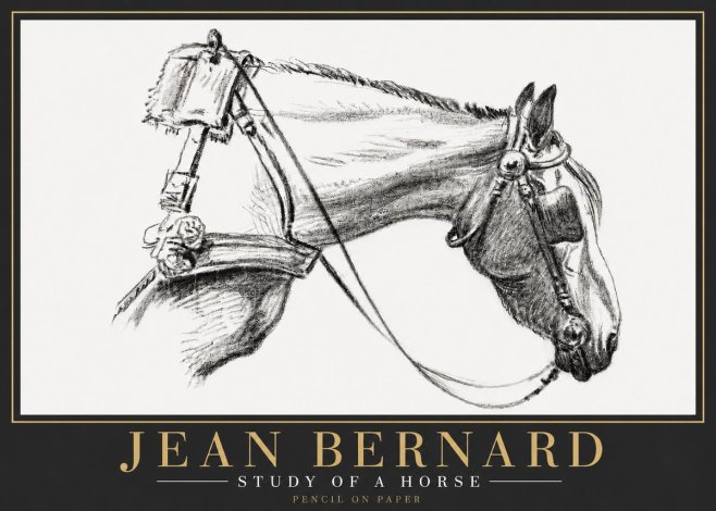 Jean Bernard Study of a Horse XVIII No6 - Poster