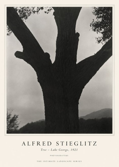 Alfred Stieglitz Tree - Lake George, 1921 No1 - Poster