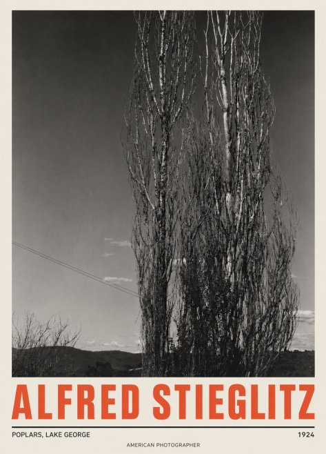 Alfred Stieglitz Trees - Lake George, 1921 No5 - Poster