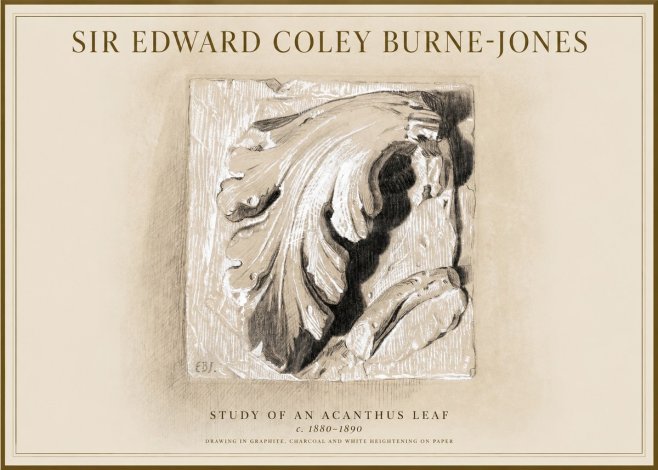 Edward Burne-Jones Study of an Acanthus Leaf No1 - Poster
