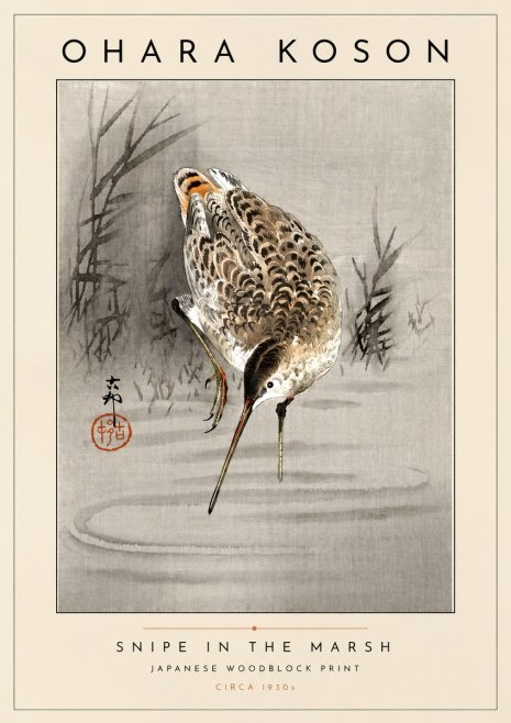 Ohara Koson Snipe in the Marsh No4 - Poster