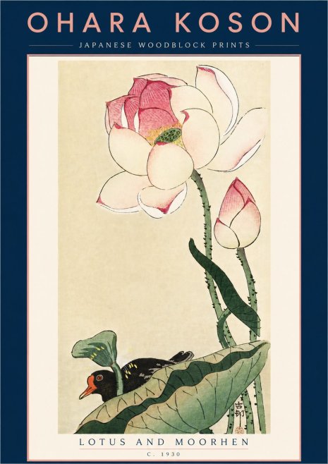 Ohara Koson Lotus and Moorhen No5 - Poster