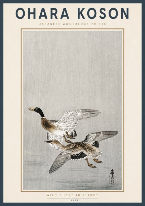 Ohara Koson Wild Ducks in Flight No4 - Poster