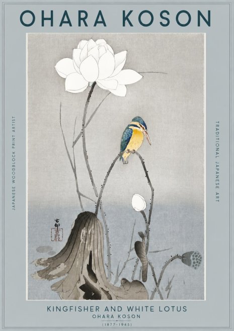 Ohara Koson Kingfisher and White Lotus No2 - Poster