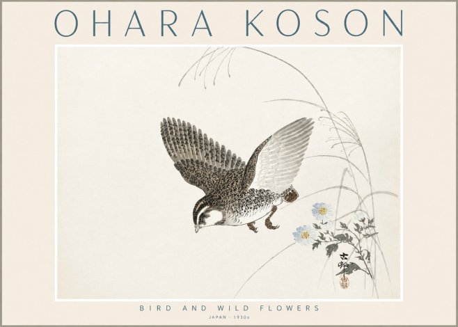 Ohara Koson Bird and Wild Flowers No2 - Poster