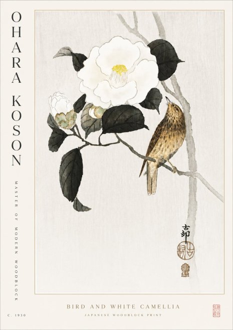 Ohara Koson Bird and White Camellia No5 - Poster