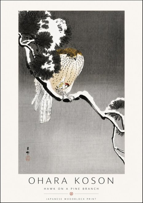 Ohara Koson Hawk on a Pine Branch No6 - Poster