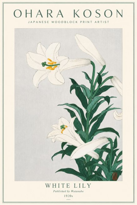 Ohara Koson White Lily No3 - Poster