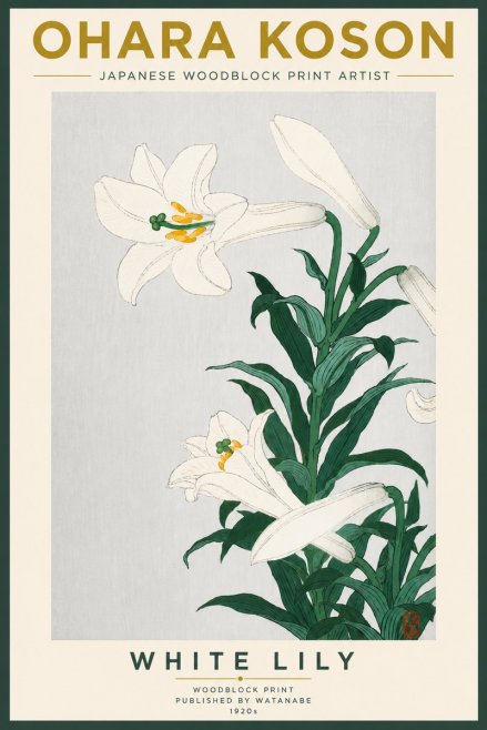 Ohara Koson White Lily No5 - Poster