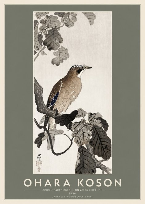 Ohara Koson Brown-eared Bulbul on an Oak Branch No2 - Poster