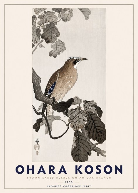 Ohara Koson Brown-eared Bulbul on an Oak Branch No3 - Poster