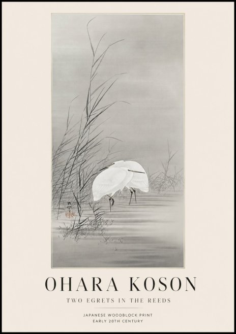 Ohara Koson Two Egrets in the Reeds No1 - Poster