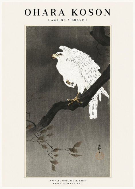 Ohara Koson Hawk on a Branch II No1 - Poster