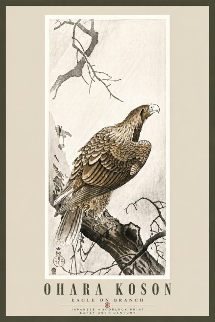 Ohara Koson Eagle on Branch No5 - Poster