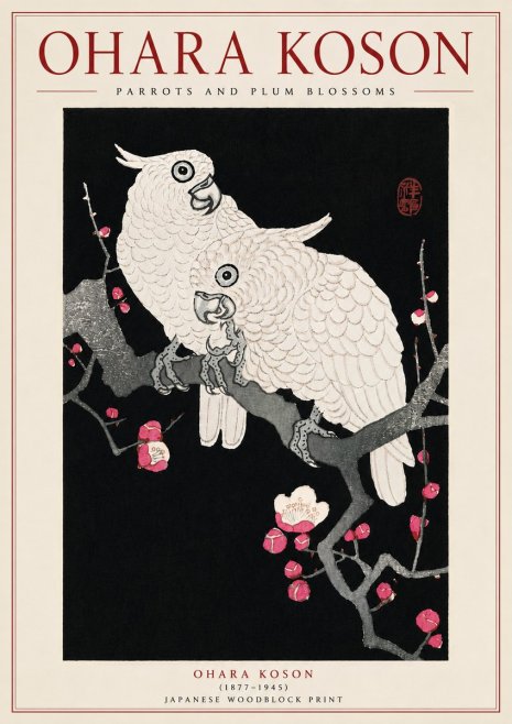 Ohara Koson Parrots and Plum Blossoms No5 - Poster