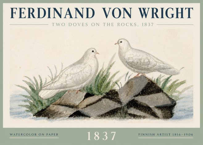 Ferdinand von Wright Two Doves on the Rocks, 1837 No3 - Poster