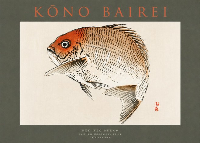 Kōno Bairei Red Sea Bream No2 - Poster
