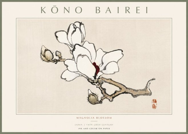 Kōno Bairei Magnolia Blossom No5 - Poster