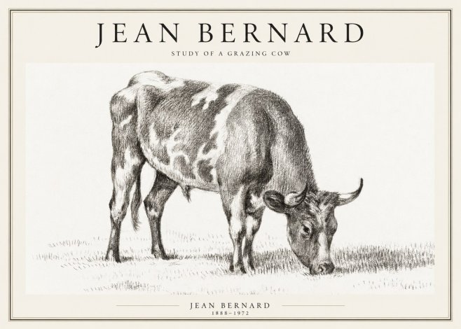 Jean Bernard Grazing Cow I No2 - Poster