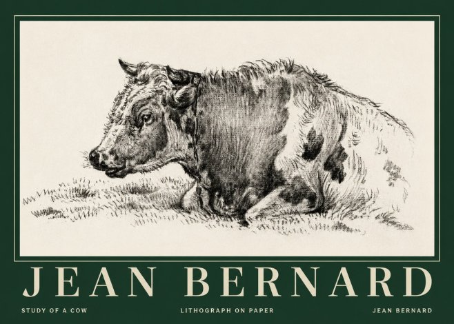 Jean Bernard Resting Cow I No5 - Poster