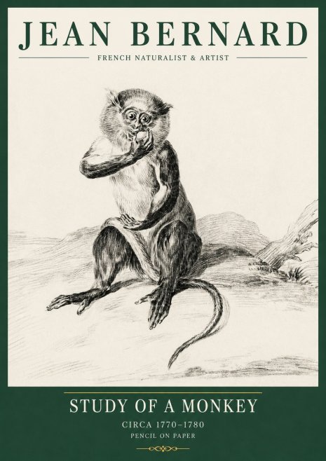 Jean Bernard Study of a Monkey No5 - Poster
