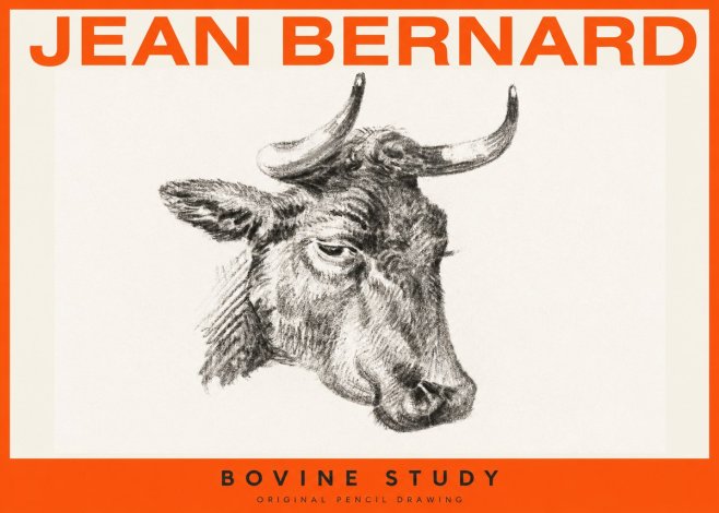 Jean Bernard Bovine Study I No2 - Poster