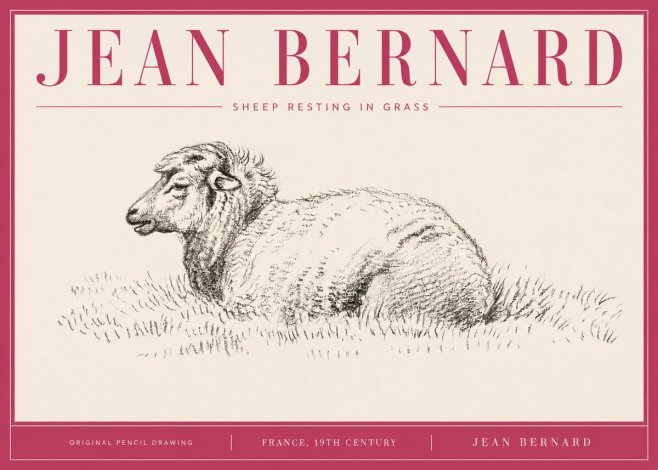 Jean Bernard Sheep Resting in Grass No4 - Poster